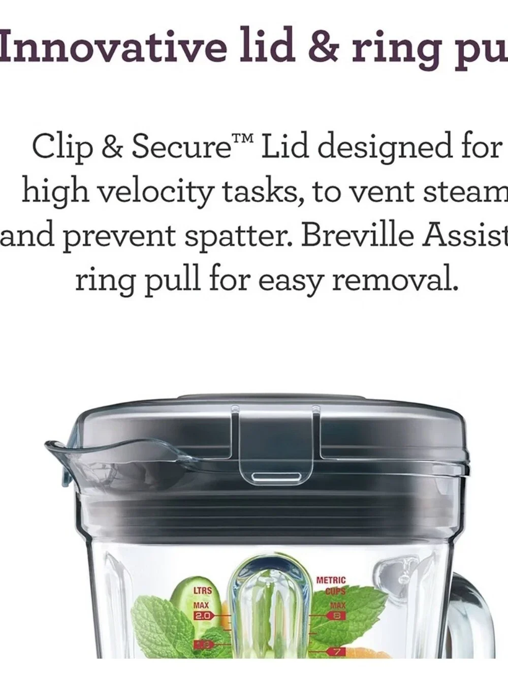 Breville The Q Blender- Smoked Hickory